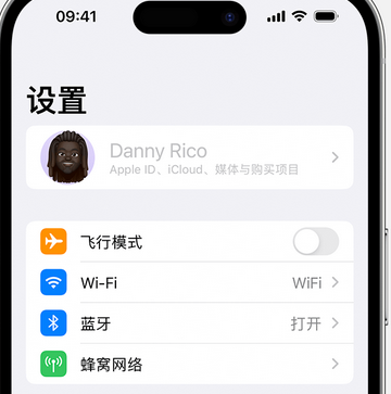 浩口原种场appleID维修服务iPhone设置中Apple ID显示为灰色无法使用