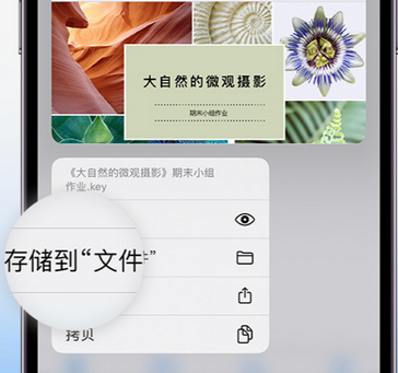 浩口原种场apple维修中心分享iPhone文件应用中存储和找到下载文件