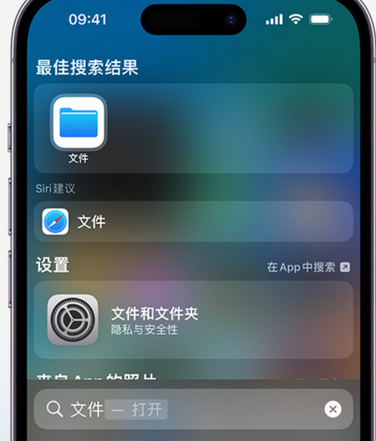 浩口原种场apple维修中心分享iPhone文件应用中存储和找到下载文件 