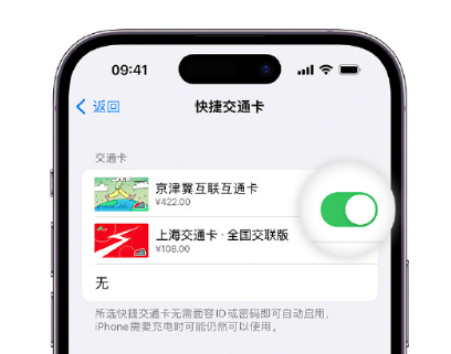 浩口原种场apple维修点分享iPhone上更换Apple Pay快捷交通卡手绘卡面 