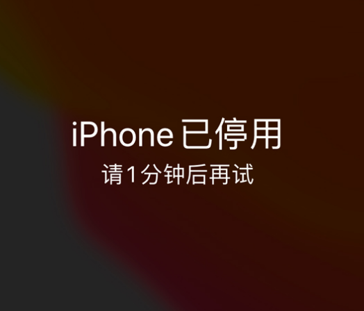 浩口原种场苹果手机维修分享:iPhone 显示“不可用”或“已停用”怎么办？还能保留数据吗？ 