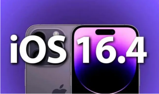 浩口原种场苹果14维修分享：iPhone14可以升级iOS16.4beta2吗？ 