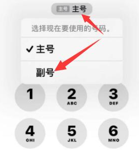 浩口原种场苹果14维修店分享iPhone 14 Pro Max使用副卡打电话的方法 