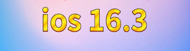 浩口原种场苹果服务网点分享苹果iOS16.3升级反馈汇总 