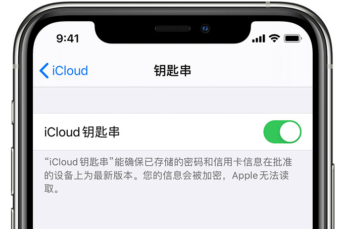 浩口原种场苹果手机维修分享在 iPhone 上开启 iCloud 钥匙串之后会储存哪些信息 