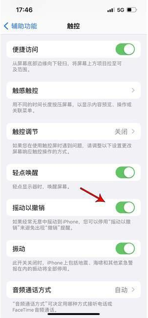 浩口原种场苹果手机维修分享iPhone手机如何设置摇一摇删除文字 